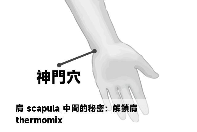 肩 scapula 中間的秘密：解鎖肩 thermomix 