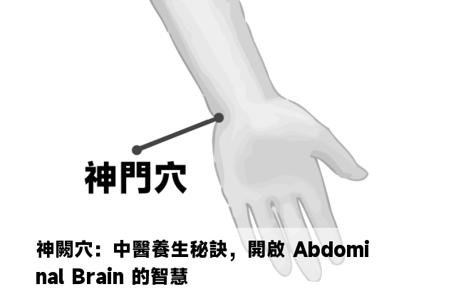 神闕穴：中醫養生秘訣，開啟 Abdominal Brain 的智慧